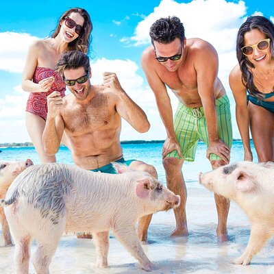 Champion Cruising Tours