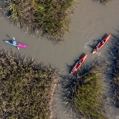 Charleston SUP Safaris