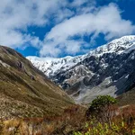 Cheeky Kea Tours