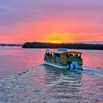 Cocoa Beach Dolphin Tours