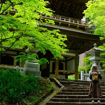 Coconuts Hike Japan