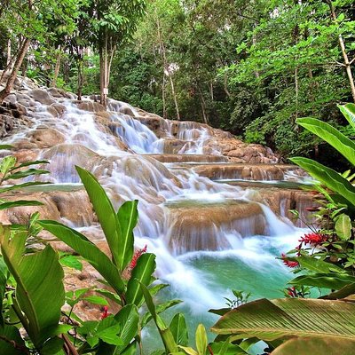 Courtney Taylor Private Tours