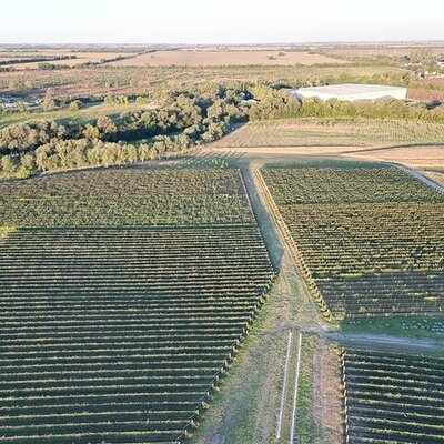 Córdoba Wine Travel