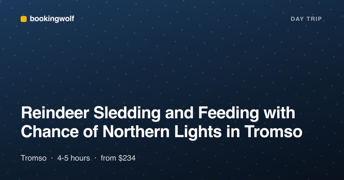 Reindeer Sledding and Feeding with Chance of Northern Lights in Tromso