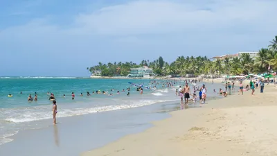 Monkeyland Puerto Plata Wildlife Tour in Cabarete