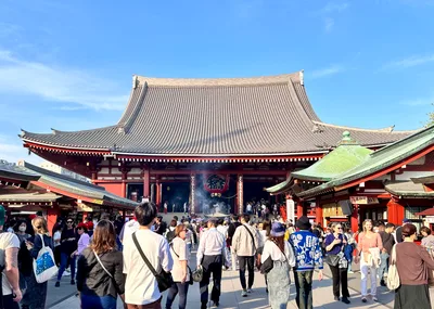 Tokyo Private Tour by Vehicle with English-Speaking Chauffeur