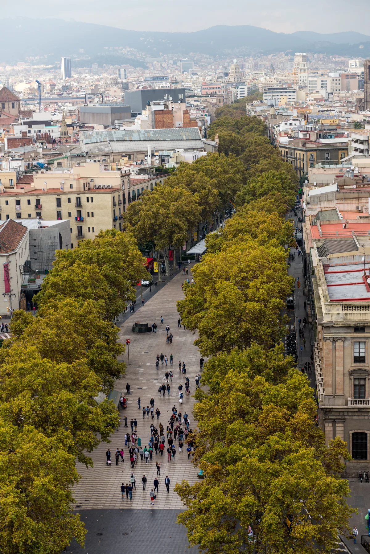 Barcelona Private or Small-Group Gaudí Walking Tour with Sagrada Familia Tickets