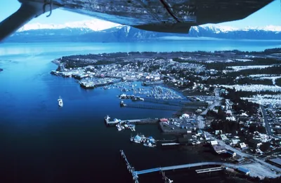 Ketchikan Salmon and Halibut Fishing Charter 4-6 Hour Small-Group Tour