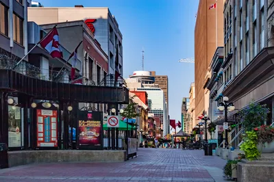 Ottawa Hop-On Hop-Off Sightseeing Tour by Double Decker Bus or Trolley