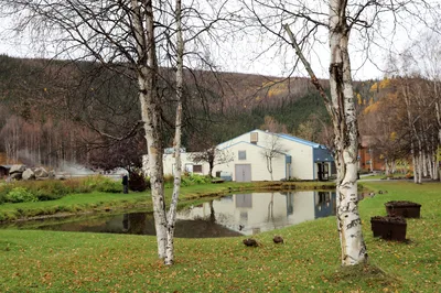 Chena Hot Springs Day Tour from Fairbanks with Ice Museum and Hot Springs Admission