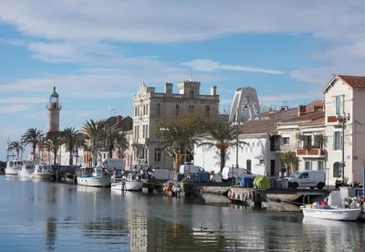 Camargue 4x4 Safari with Wine and Food Tasting from Le Grau-du-Roi, 3.5 Hours