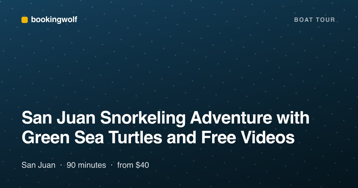 San Juan Snorkeling Adventure with Green Sea Turtles and Free Videos