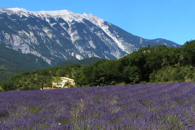 Canyoning in the Wolf Gorge near Provence French Riviera