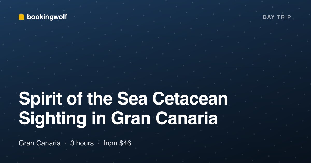 Spirit of the Sea Cetacean Sighting in Gran Canaria