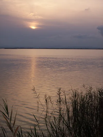 Albufera Tour near Valencia: Barraca Visit, Electric Boat Ride & Local Guide
