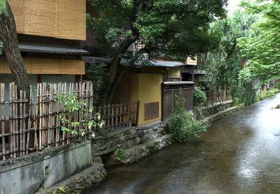 Kyoto Night Foodie Tour in Gion with 9+ Dishes and 6+ Sake Tastings