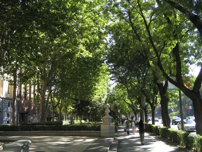 Madrid Prado Museum and Reina Sofía Museum Guided Tour