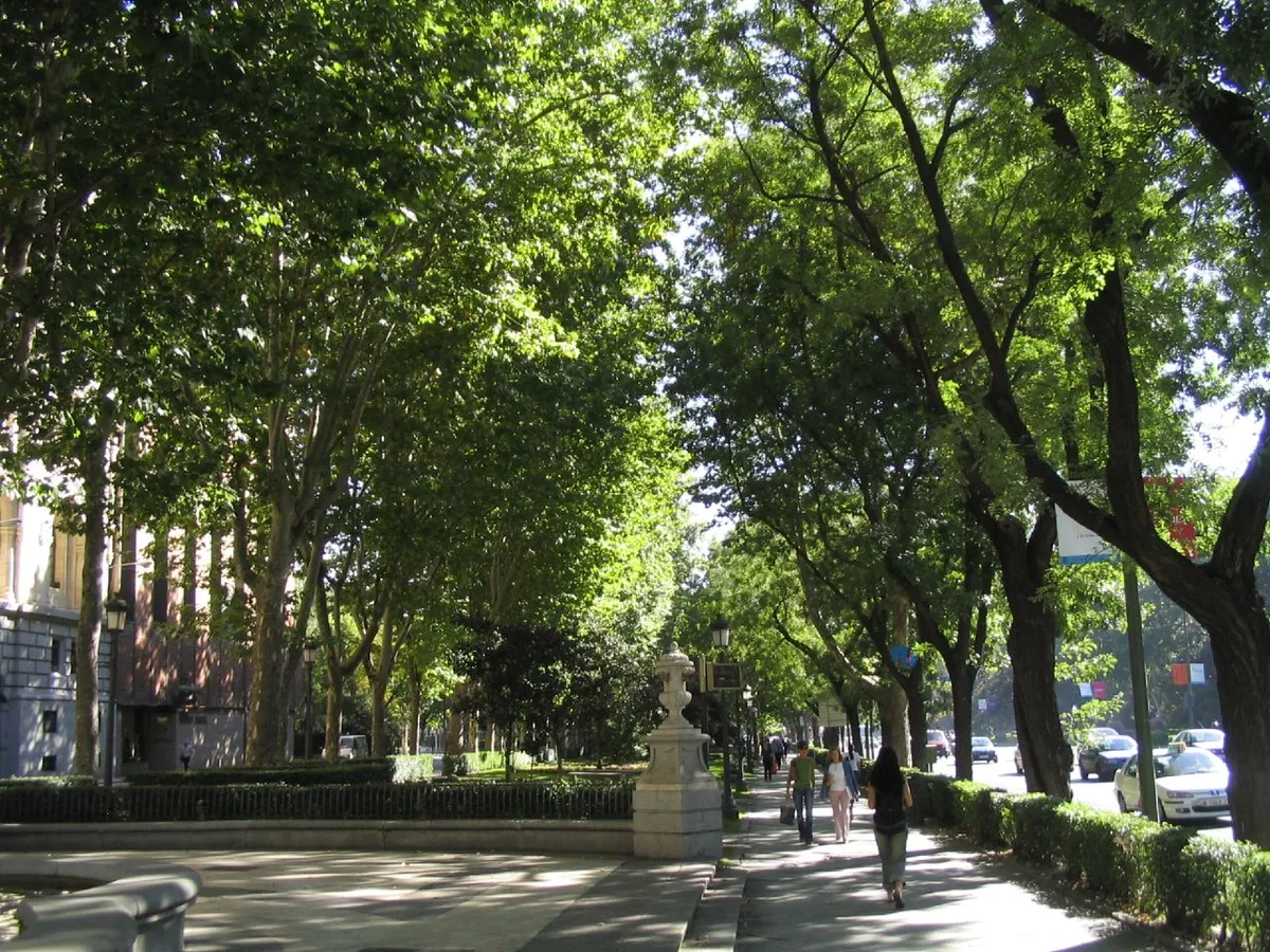 Madrid Prado Museum and Reina Sofía Museum Guided Tour