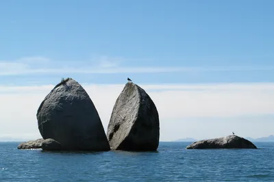 Marahau Family Sea Kayak Cruiser: Split Apple Rock, Sea Caves & Cormorants