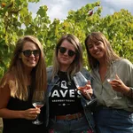 Daves Tours