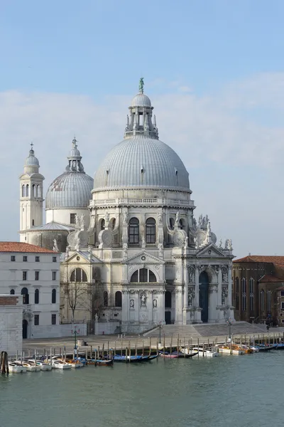 Venice 30-Minute Shared Gondola Ride with Basilica di Salute and Teatro La Fenice