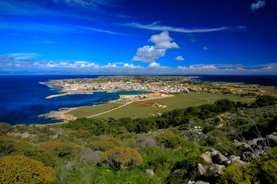 Egadi Islands Boat Tour: Favignana and Levanzo with Lunch from Trapani