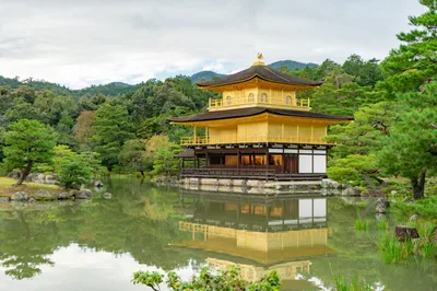 Kyoto 1.5-Hour Sake Tasting and Food Pairing with Certified Sommelier