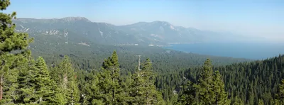 Lake Tahoe Clear Kayak Paddle Tour with Carbon Fiber Paddles