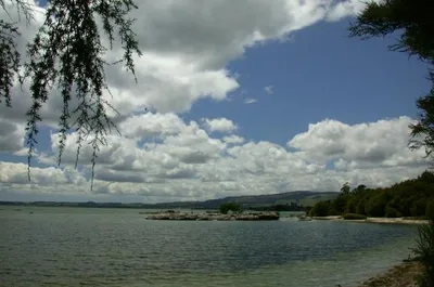 Rotorua 3-Hour Nocturnal Glow-worm Tour