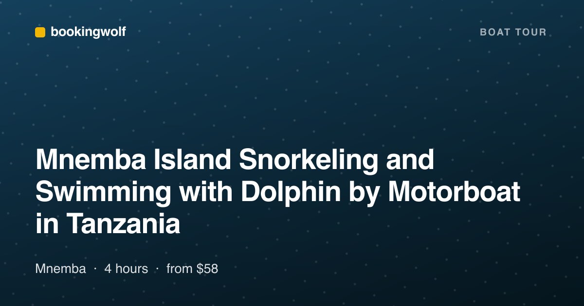 Mnemba Island Snorkeling and Swimming with Dolphin by Motorboat in Tanzania