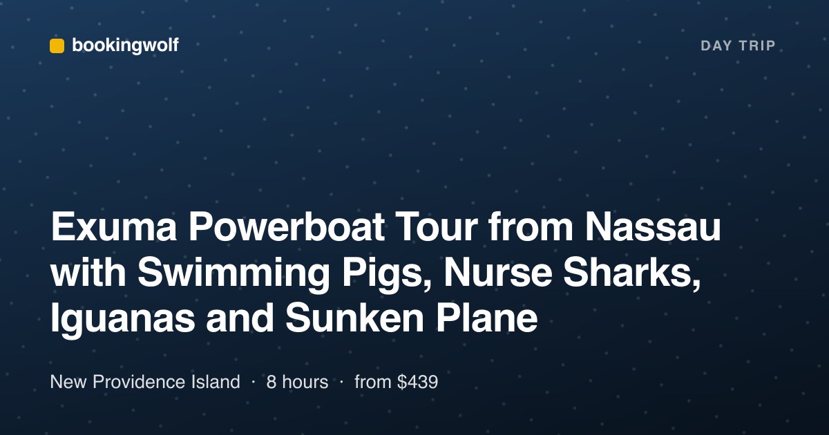 Exuma Powerboat Tour from Nassau with Swimming Pigs, Nurse Sharks, Iguanas and Sunken Plane