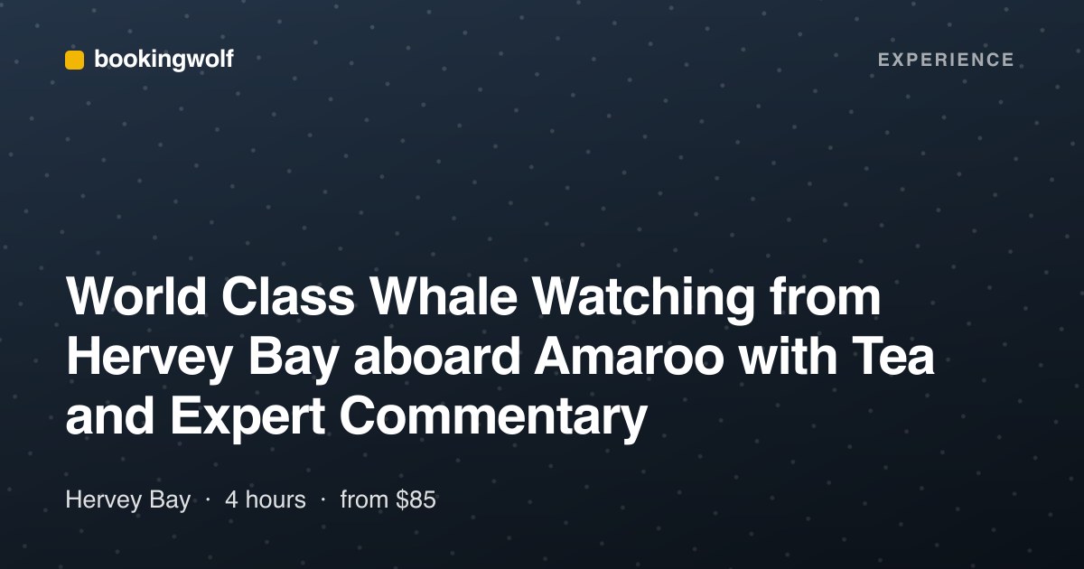 World Class Whale Watching from Hervey Bay aboard Amaroo with Tea and Expert Commentary