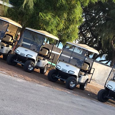 Drive GDT Golf Cart Rentals
