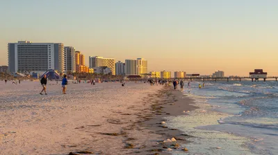 Clearwater Evening Yacht Cruise with Optional Dining