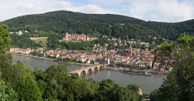 Heidelberg Day Trips by Luxury Van with Private Transport and WiFi
