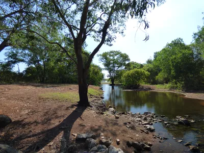 Darwin Full-Day Kakadu National Park Trip with Yellow Waters Billabong Cruise, Nourlangie Rock, and Lunch