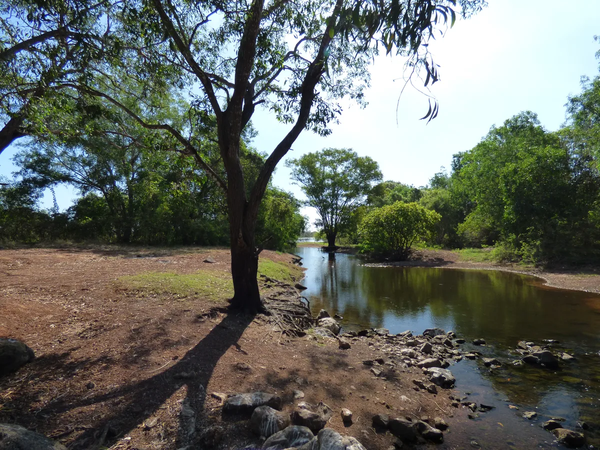 Darwin Full-Day Kakadu National Park Trip with Yellow Waters Billabong Cruise, Nourlangie Rock, and Lunch