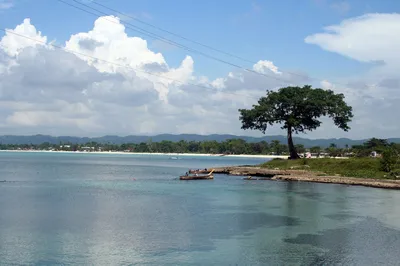 Negril Horseback Ride and Swim on Private Beach with Free Photos and Videos