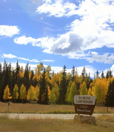 Grand Canyon 45-Minute Helicopter Flight Over Kaibab National Forest from Tusayan, Arizona