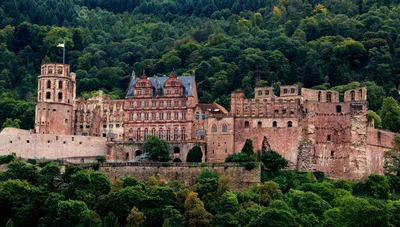 Heidelberg Castle and City Day Tour from Frankfurt