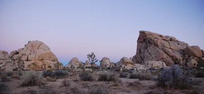 Joshua Tree National Park Offroad 5-Hour 4x4 Tour from Palm Springs