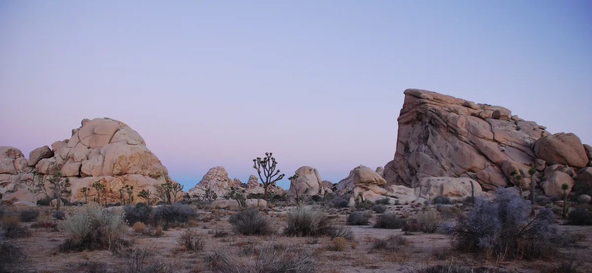 Joshua Tree National Park Offroad 5-Hour 4x4 Tour from Palm Springs
