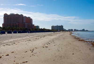 Clearwater Beach 1.5-Hour Tiki Boat Tour with Unlimited Alcoholic Drinks