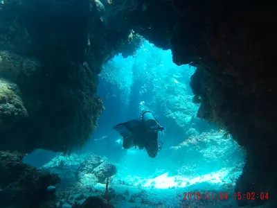Catamaran Snorkeling to El Cielo and The Money Bar Beach in Cozumel