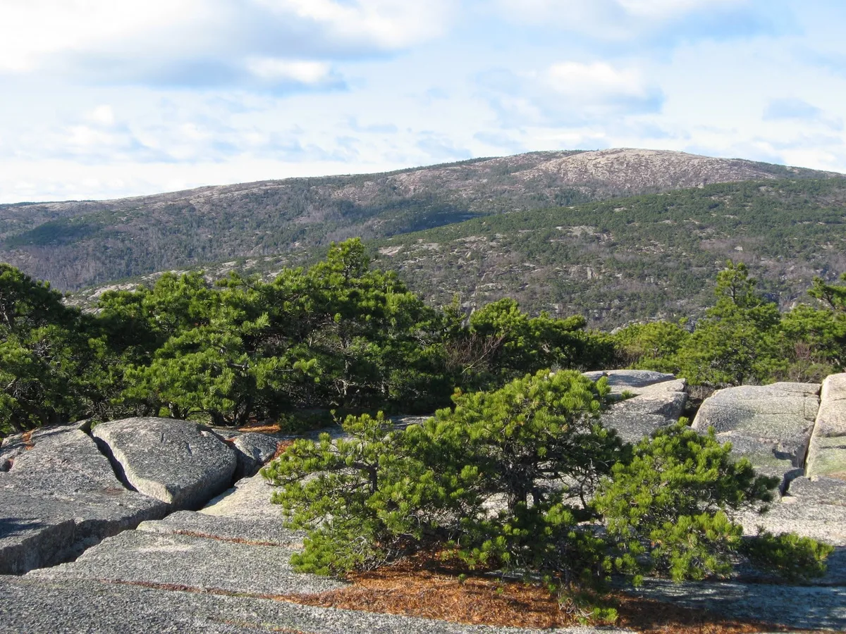 Bar Harbor and Acadia National Park Narrated Bus Tour