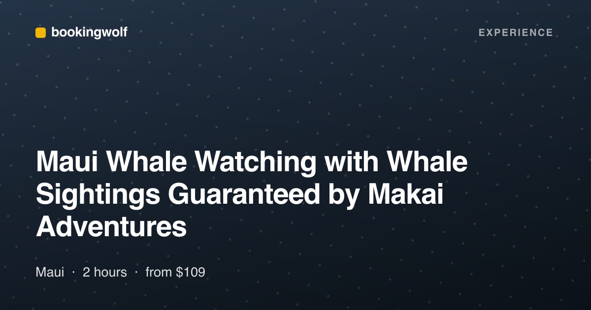 Maui Whale Watching with Whale Sightings Guaranteed by Makai Adventures
