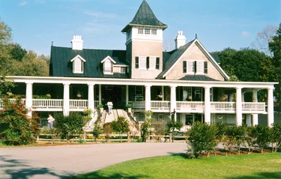 Magnolia Plantation Admission and Tour with Round-Trip Transportation from Charleston