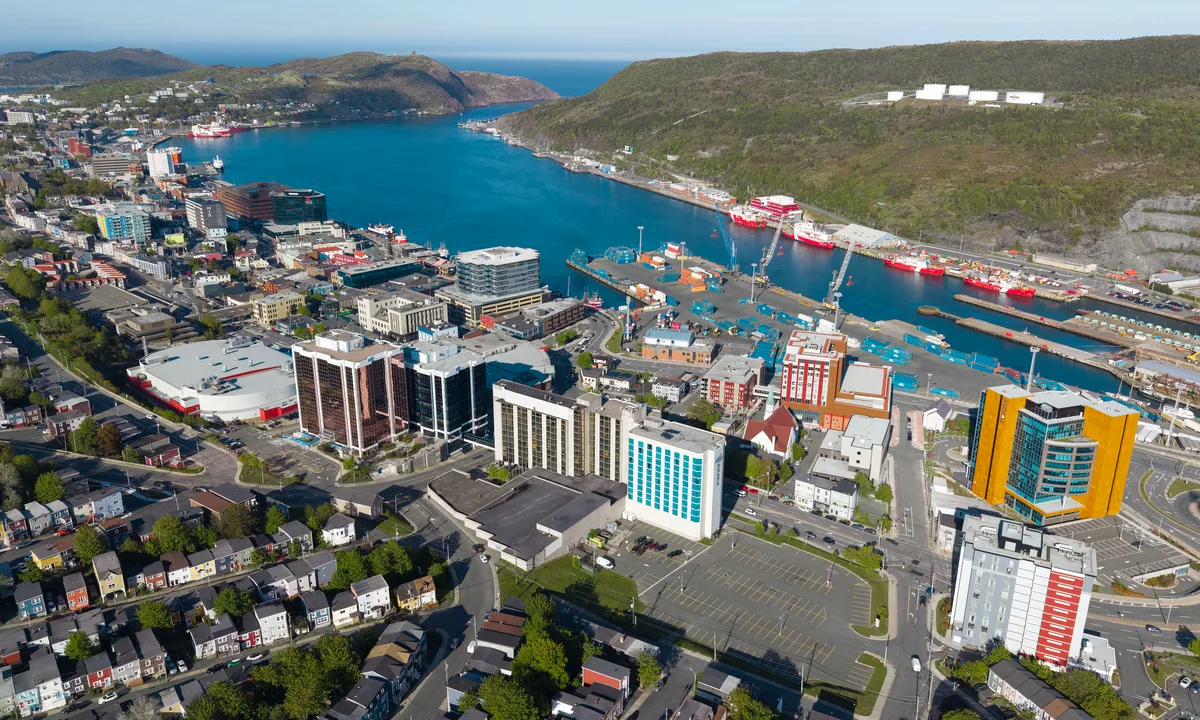 Newfoundland Puffin and Whale Watch Cruise in St John's