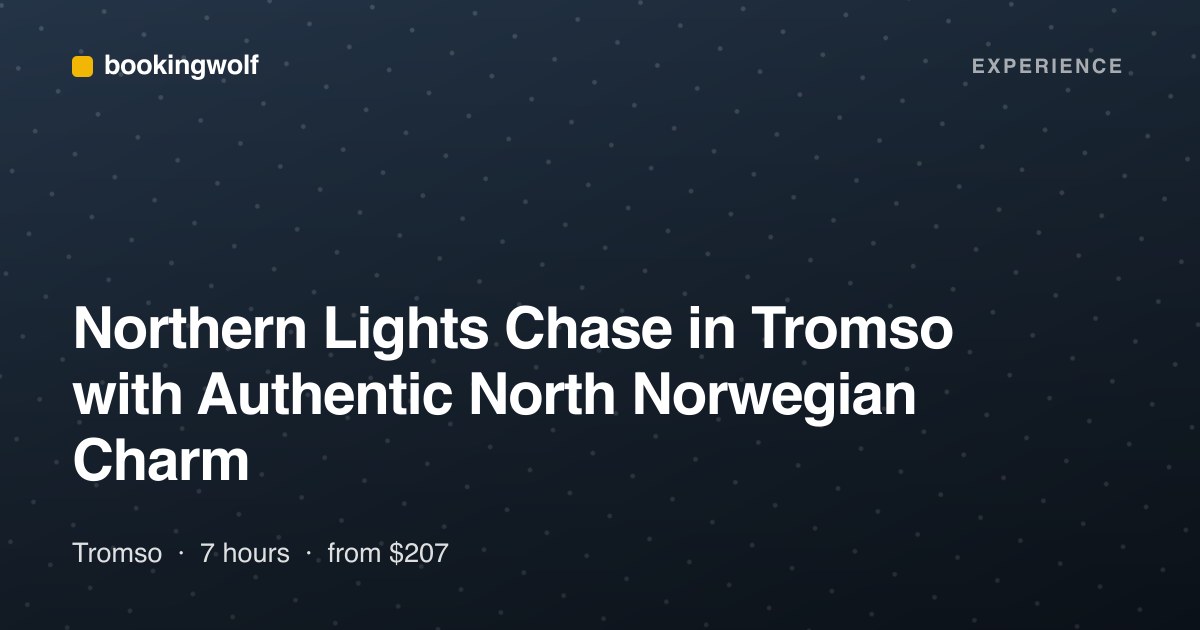 Northern Lights Chase in Tromso with Authentic North Norwegian Charm