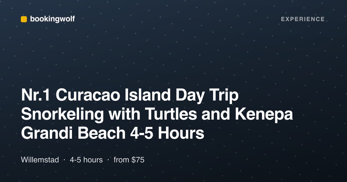 Nr.1 Curacao Island Day Trip Snorkeling with Turtles and Kenepa Grandi Beach 4-5 Hours